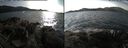 ./images/rivers-inlet/ethel/20171103/ethel20171103_145955.jpg