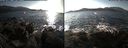 ./images/rivers-inlet/ethel/20171105/ethel20171105_141455.jpg