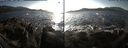 ./images/rivers-inlet/ethel/20171105/ethel20171105_145455.jpg