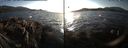 ./images/rivers-inlet/ethel/20171105/ethel20171105_155455.jpg