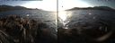 ./images/rivers-inlet/ethel/20171105/ethel20171105_155955.jpg