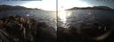 ./images/rivers-inlet/ethel/20171105/ethel20171105_160455.jpg