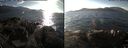 ./images/rivers-inlet/ethel/20171109/ethel20171109_135455.jpg