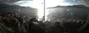 ./images/rivers-inlet/ethel/20171109/ethel20171109_150955.jpg