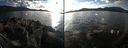 ./images/rivers-inlet/ethel/20171112/ethel20171112_144455.jpg