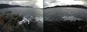 ./images/rivers-inlet/ethel/20171115/ethel20171115_102955.jpg