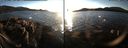 ./images/rivers-inlet/ethel/20171120/ethel20171120_155955.jpg