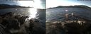 ./images/rivers-inlet/ethel/20171202/ethel20171202_135955.jpg