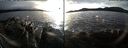 ./images/rivers-inlet/ethel/20171205/ethel20171205_151955.jpg