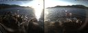 ./images/rivers-inlet/ethel/20171206/ethel20171206_145955.jpg