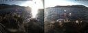 ./images/rivers-inlet/ethel/20171207/ethel20171207_142455.jpg