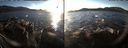 ./images/rivers-inlet/ethel/20171207/ethel20171207_150455.jpg