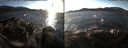 ./images/rivers-inlet/ethel/20171219/ethel20171219_143955.jpg