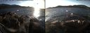 ./images/rivers-inlet/ethel/20171219/ethel20171219_144455.jpg