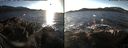 ./images/rivers-inlet/ethel/20171222/ethel20171222_142955.jpg