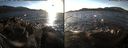 ./images/rivers-inlet/ethel/20171223/ethel20171223_144455.jpg