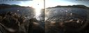 ./images/rivers-inlet/ethel/20171223/ethel20171223_145955.jpg