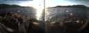 ./images/rivers-inlet/ethel/20171223/ethel20171223_151455.jpg