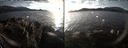 ./images/rivers-inlet/ethel/20171225/ethel20171225_152955.jpg