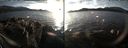 ./images/rivers-inlet/ethel/20171225/ethel20171225_153455.jpg