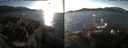 ./images/rivers-inlet/ethel/20171230/ethel20171230_142455.jpg
