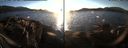 ./images/rivers-inlet/ethel/20171230/ethel20171230_154455.jpg