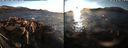 ./images/rivers-inlet/ethel/20180218/ethel20180218_170956.jpg