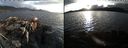 ./images/rivers-inlet/ethel/20180319/ethel20180319_184956.jpg