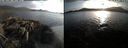 ./images/rivers-inlet/ethel/20180428/ethel20180428_193955.jpg