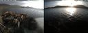 ./images/rivers-inlet/ethel/20180428/ethel20180428_194955.jpg