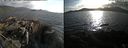 ./images/rivers-inlet/ethel/20180429/ethel20180429_185455.jpg