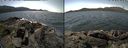 ./images/rivers-inlet/ethel/20180512/ethel20180512_132955.jpg