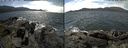 ./images/rivers-inlet/ethel/20180513/ethel20180513_132955.jpg