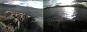 ./images/rivers-inlet/ethel/20180524/ethel20180524_191954.jpg