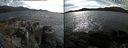 ./images/rivers-inlet/ethel/20180531/ethel20180531_165454.jpg