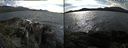 ./images/rivers-inlet/ethel/20180531/ethel20180531_165954.jpg