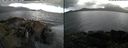 ./images/rivers-inlet/ethel/20180610/ethel20180610_145454.jpg