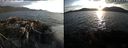 ./images/rivers-inlet/ethel/20180830/ethel20180830_193950.jpg