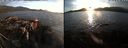 ./images/rivers-inlet/ethel/20180925/ethel20180925_184949.jpg