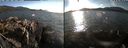 ./images/rivers-inlet/ethel/20180928/ethel20180928_172949.jpg