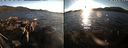 ./images/rivers-inlet/ethel/20181002/ethel20181002_182449.jpg