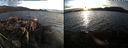 ./images/rivers-inlet/ethel/20181004/ethel20181004_182449.jpg