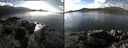 ./images/rivers-inlet/ethel/20181012/ethel20181012_133949.jpg