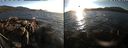 ./images/rivers-inlet/ethel/20181013/ethel20181013_174949.jpg