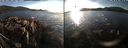 ./images/rivers-inlet/ethel/20181021/ethel20181021_172948.jpg