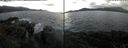 ./images/rivers-inlet/ethel/20181026/ethel20181026_162948.jpg
