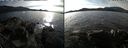 ./images/rivers-inlet/ethel/20181107/ethel20181107_135948.jpg
