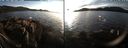./images/rivers-inlet/ethel/20181117/ethel20181117_155948.jpg