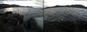 ./images/rivers-inlet/ethel/20181122/ethel20181122_092948.jpg
