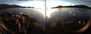 ./images/rivers-inlet/ethel/20181202/ethel20181202_155948.jpg